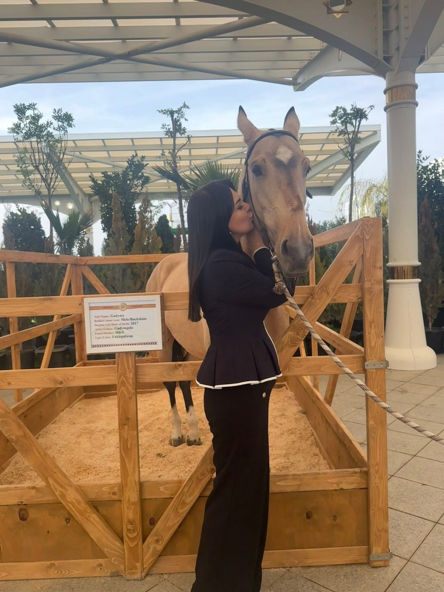 ERDİ TAMAŞIN XEYRİYYƏ KONSERTİ