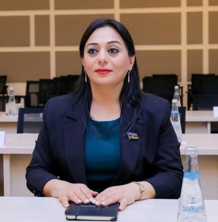 ERDİ TAMAŞIN XEYRİYYƏ KONSERTİ